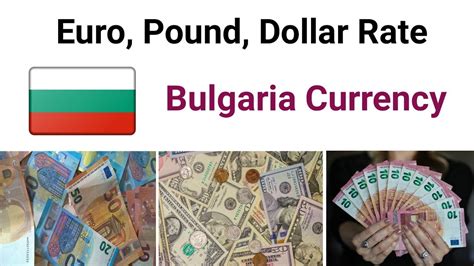 12 lv to euro|bulgarian lev to euro converter.